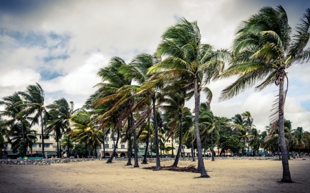 Miami Beach - sky, beach, street, cloud, florida, palm, miami, usa