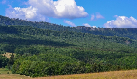 Ignis - verde, padure, munte, caldura