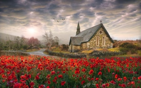 Sacred Poppies - trees, ireland, field, spring, church, red, beautiful, clouds, old road, flowers, birds