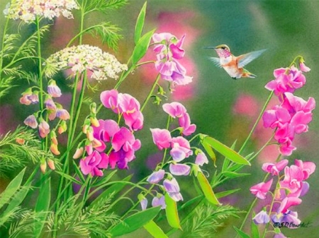 Sweet Wildflowers - animals, summer, nature, love four seasons, hummingbird, sweet, flowers, paintings, wildflowers, birds, lovely flowers