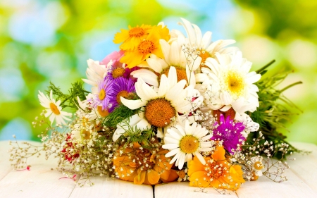 Flowers - daisies, blossoms, colors, mix, bouquet