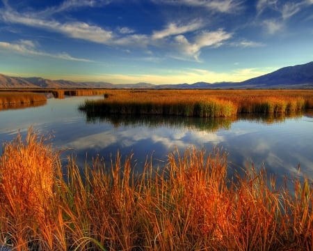 Evening on the Lake - lake, autumn, grass, clouds