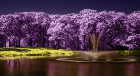 Randol Mill Park - trees, water, fountain, Randol Mill, pond, Texas, purple, Arlington Texas, Arlington, park