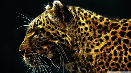 cheetah - feline, spots, cheetah, cat