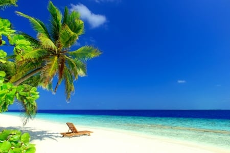 Caribbean rest - sands, ocean, beach, sky, paradise, palms, sunbed, summer, caribes, exotic, vacation, beautiful, rest, sea, relax