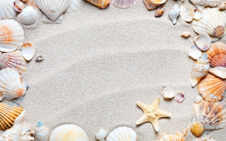 Happy Summer! - shell, starfish, sand, summer