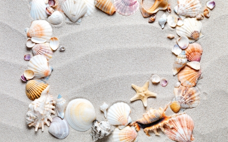 Happy Summer! - starfish, grey, summer, shell, sand