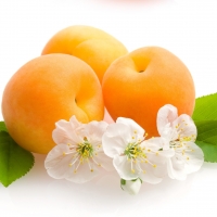 Apricots