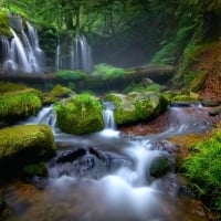 Forest Waterfall, Hyogo, Japan