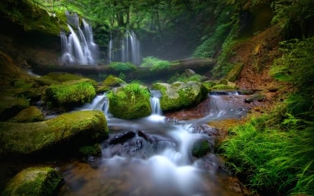 Forest Waterfall, Hyogo, Japan - moss, forest, japan, waterfall