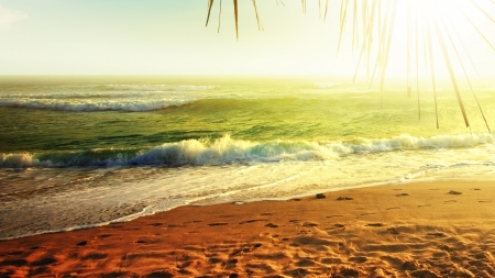 Sea Coast - waves, shore, ocean, sand