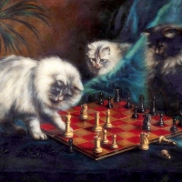 Kitten Playing Chess