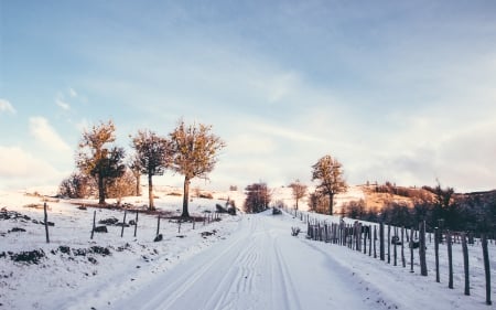 Snow - nature, sky, snow, water, tree