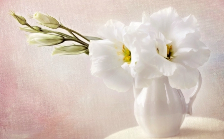 Still Life - vase, white, flower, still life