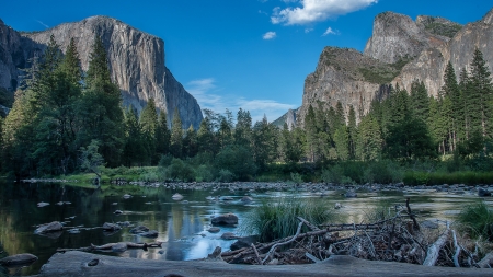 Good Afternoon! - national park, river, California, photography, Yosemite, Pentax, forest, sky