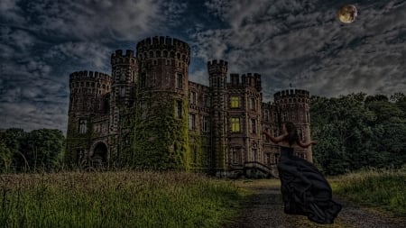 Untitled - background, woman, castle, luna