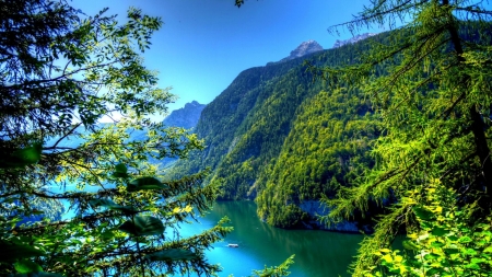 bavarian forests on mountainside - mountains, sunlight, forests, river