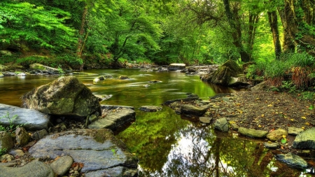 gorgeous forest stream hdr - reflections, forest, stream, hdr, rocks