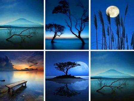 Night slendor - moon, beauty, sky, trees, blue, night, water