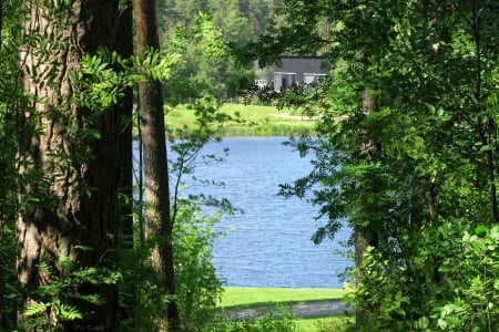 Pond - green, leaf, summer, pond