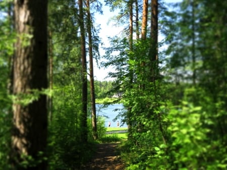 Pond - green, leaf, summer, pond