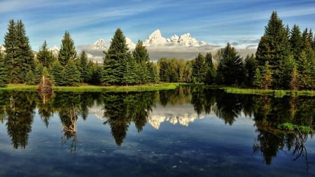 Clean Crystal Waters of the Lake - trees, clean, nature, landscape, lake, mountains, crystal, reflection