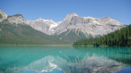 Emerald Lake - fun, lake, yoho, mountain, trees, emerald lake, landscape, mountains, nature, forest, snow