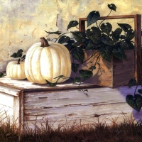 White Pumpkins