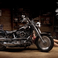 Harley Davidson