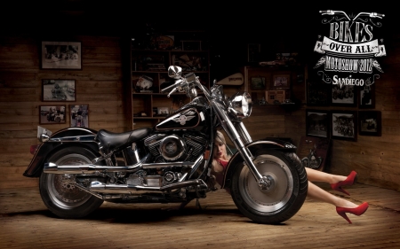 Harley Davidson - harley, chopper, motorcycle, bike