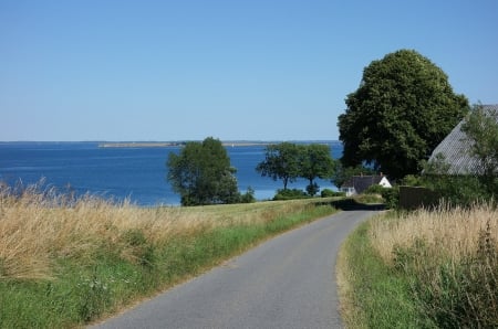 Summer day - road, summer, tree, view