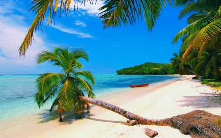 Summer beach - sands, ocean, beach, sky, tropics, paradise, palms, summer, shore, exotic, beautiful, sea, boat