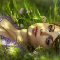 Lazy summer