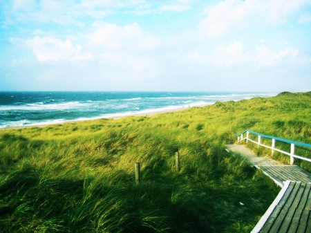 Green beach - clouds, grass, ocean, beach