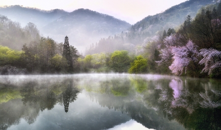 Nice Morning - lake, trees, reflection, nature