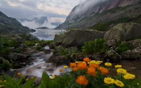 Beauty of Nature - flowers, nature, rocks, mountain