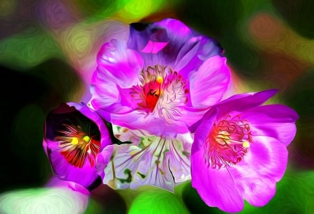 Poppies - Paintography Art - Poppies, Paintography, Nature, Flowers