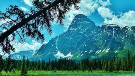 Mountain River - trees, mountain, landscape, river