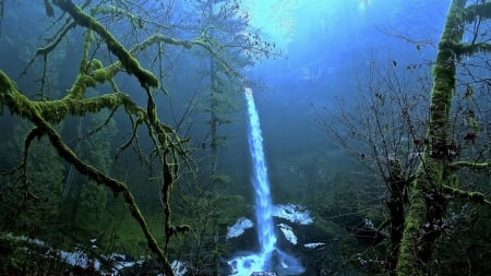 Waterfall - fog, moss, trees, rocks