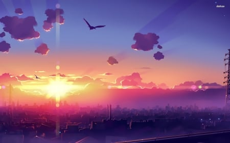 sunset over city - cloud, city, sunset, bird