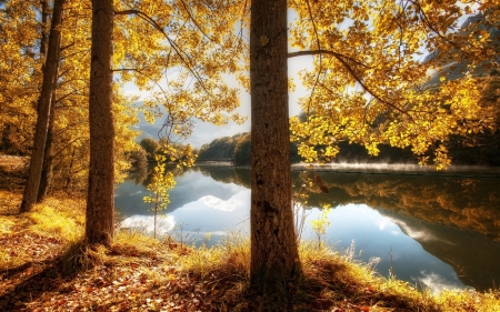 Autumn Splendor - trees, hills, water, mist, fall, reflection, river, beautiful, leaves, sunrise