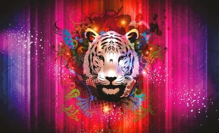 Tigers head - head, colorful, background, tiger, wild, cat