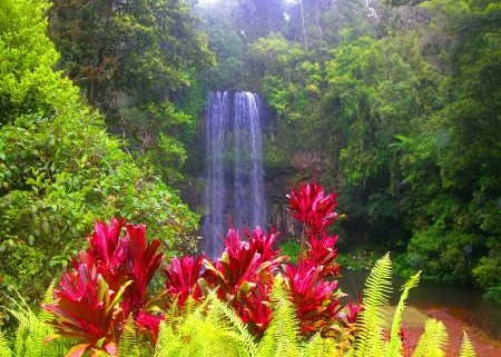 Forest waterfall - greenery, summer, waterfall, plants, exotic, nature, fall, forest, beautiful, flowers