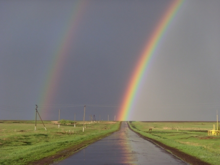 Rainbows - road, grass, rainbow, summer