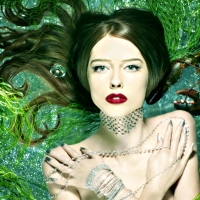 Ann Ward