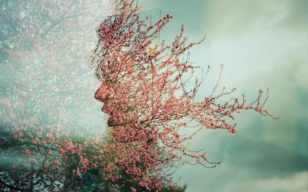 Spring - pink, spring, blossom, sakura, girl, blue, fantasy, profile, cherry, tree, green