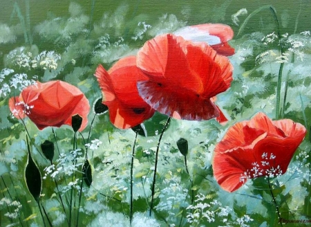 Flower Garden - blossoms, petals, poppies, daisies, leaves