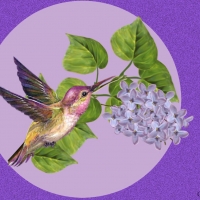 HUMMING BIRD