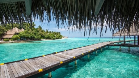 The Ocean Resort - sky, pier, trees, clouds