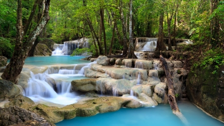 Forest Waterfall - lake, forest, trees, rocks